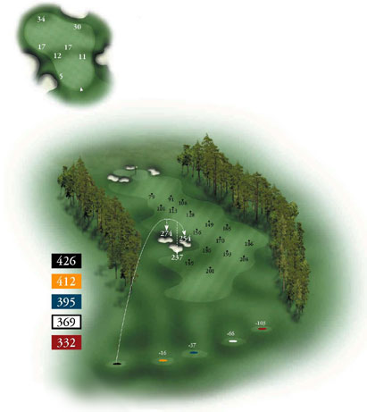 Hole #12 Map